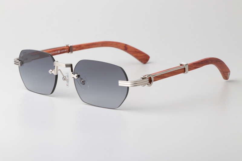CT0362S Sunglasses Silver Red Gradient Gray