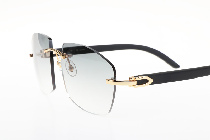 glasses
