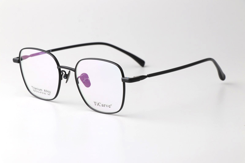 TC7313 Eyeglasses Black