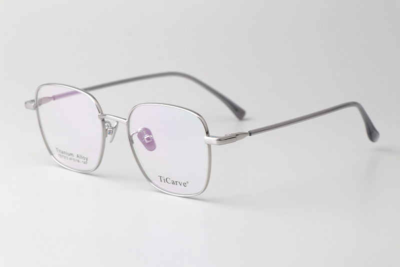 TC7313 Eyeglasses Silver