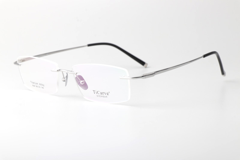 TC8229 Eyeglasses Silver