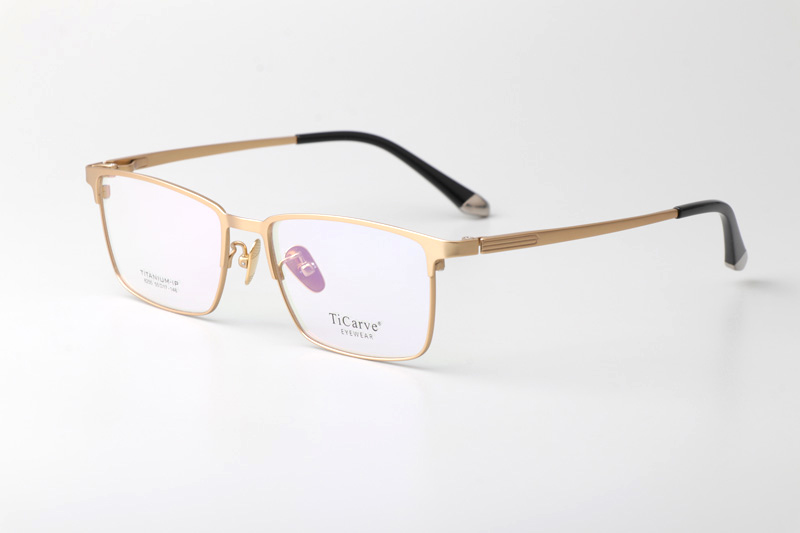 TC8255 Eyeglasses Gold